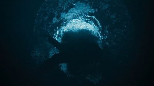 Backdrop do filme: Terror em Silent Hill: Regresso Para o Inferno