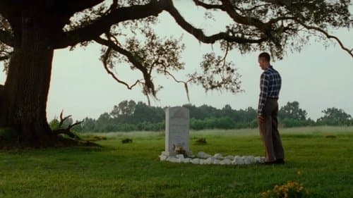 Backdrop do filme: Forrest Gump: O Contador de Histórias