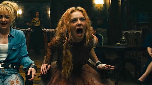 Backdrop do filme: Casamento Sangrento: A Viúva