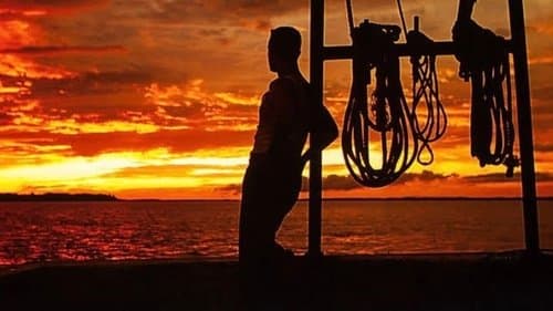 Backdrop do filme: Forrest Gump: O Contador de Histórias