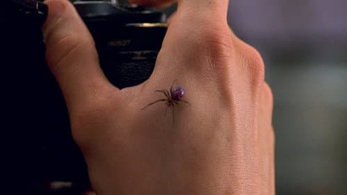 Backdrop do filme: Homem-Aranha