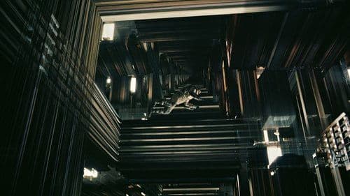 Backdrop do filme: Interestelar