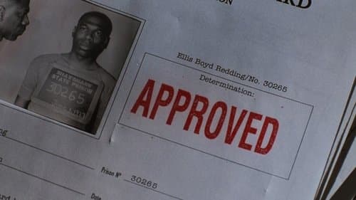 Backdrop do filme: Um Sonho de Liberdade