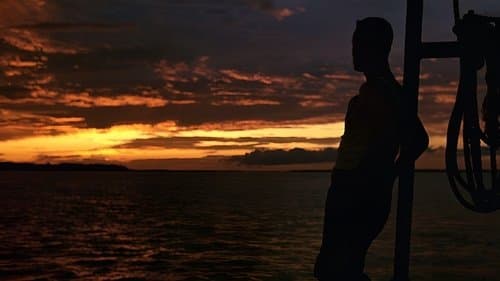 Backdrop do filme: Forrest Gump: O Contador de Histórias