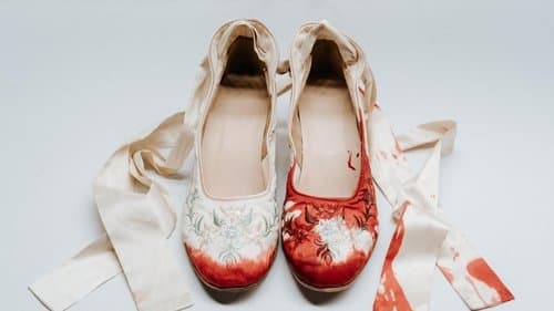 Backdrop do filme: A Meia-Irmã Feia