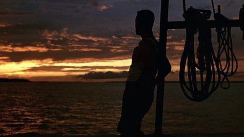 Backdrop do filme: Forrest Gump: O Contador de Histórias