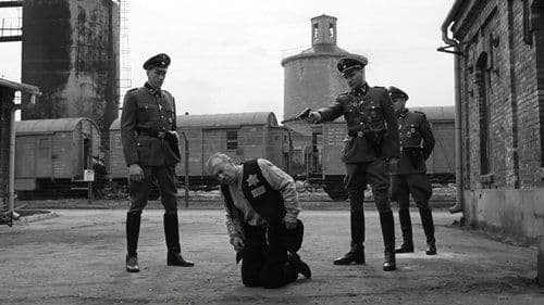 Backdrop do filme: A Lista de Schindler