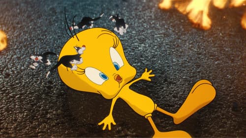 Backdrop do filme: Coyote vs. ACME