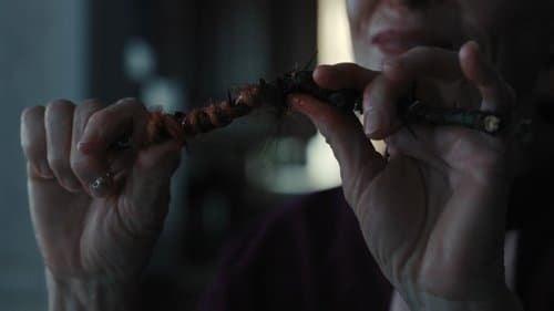 Backdrop do filme: A Hora do Mal