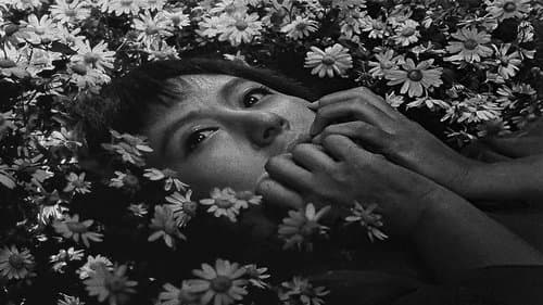 Backdrop do filme: Os Sete Samurais