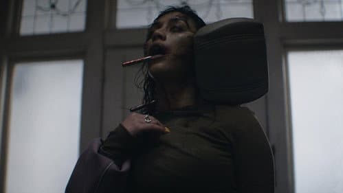 Backdrop do filme: A Morte do Demônio: Em Chamas