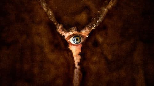 Backdrop do filme: Terror em Silent Hill: Regresso Para o Inferno