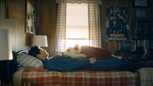 Backdrop do filme: Superman