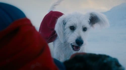 Backdrop do filme: Superman