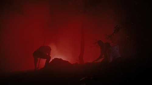 Backdrop do filme: Os Bons Companheiros