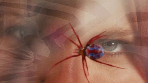 Backdrop do filme: Homem-Aranha