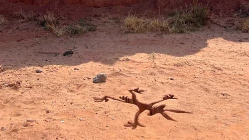 Backdrop do filme: Coyote vs. ACME