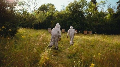 Backdrop do filme: Bugonia