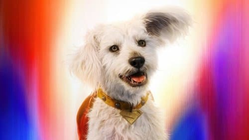 Backdrop do filme: Superman