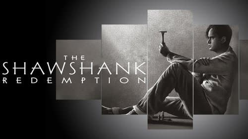 Backdrop do filme: Um Sonho de Liberdade