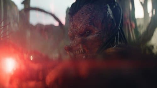 Backdrop do filme: Predador: Terras Selvagens