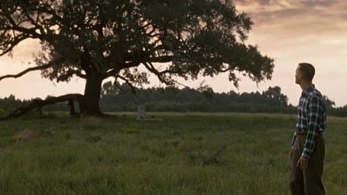 Backdrop do filme: Forrest Gump: O Contador de Histórias