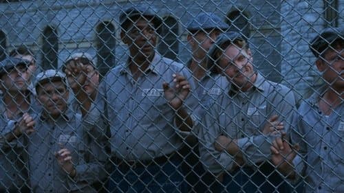 Backdrop do filme: Um Sonho de Liberdade