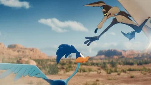Backdrop do filme: Coyote vs. ACME