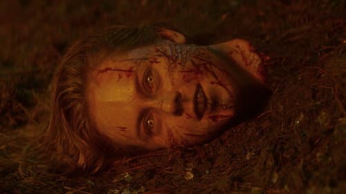 Backdrop do filme: A Morte do Demônio: Em Chamas