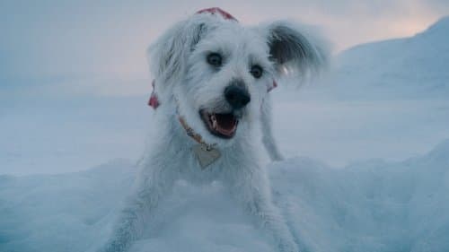 Backdrop do filme: Superman