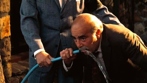 Backdrop do filme: O Poderoso Chefão: Parte II