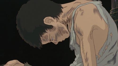 Backdrop do filme: O Túmulo dos Vagalumes