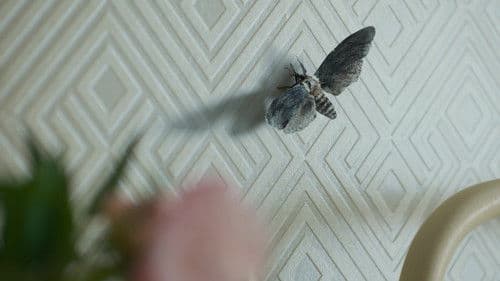 Backdrop do filme: Terror em Silent Hill: Regresso Para o Inferno