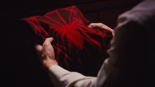 Backdrop do filme: Homem-Aranha