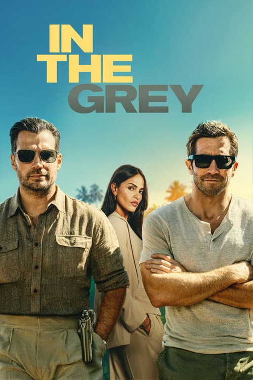 Poster do filme: In the Grey
