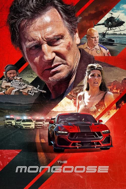 Poster do filme: The Mongoose